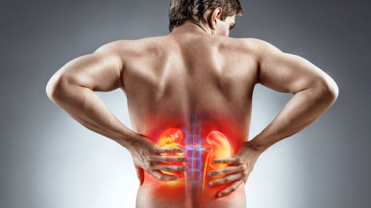 Kidney Care Tips